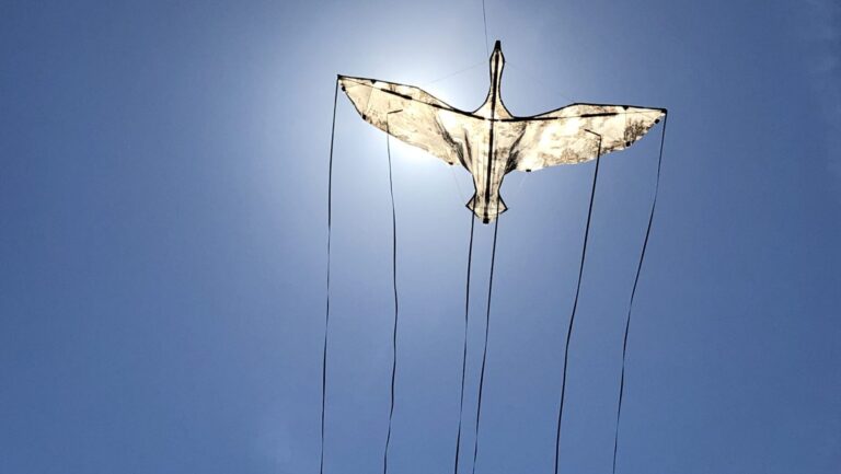 systemisch coach Utrecht