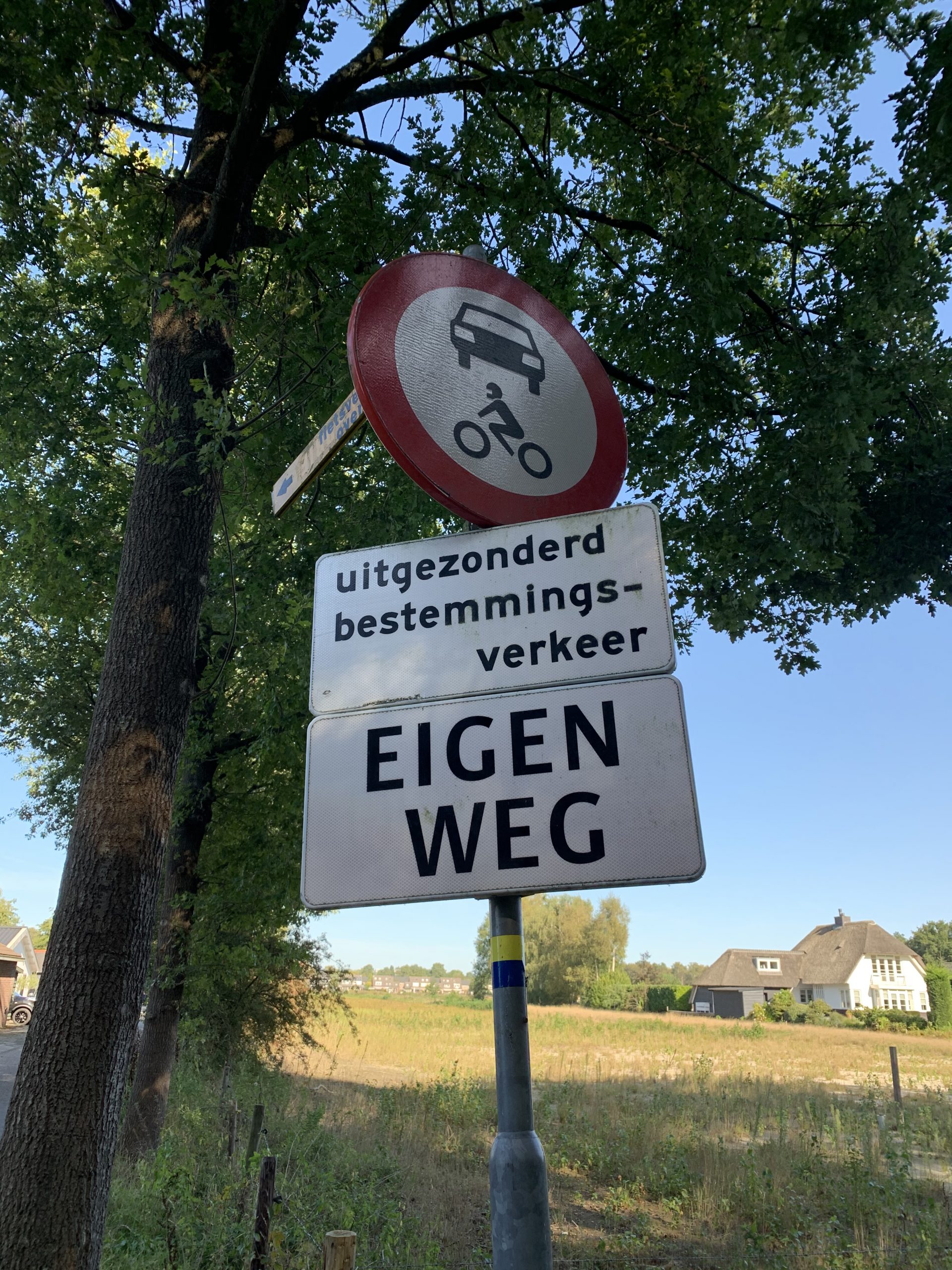 Systemische coaching