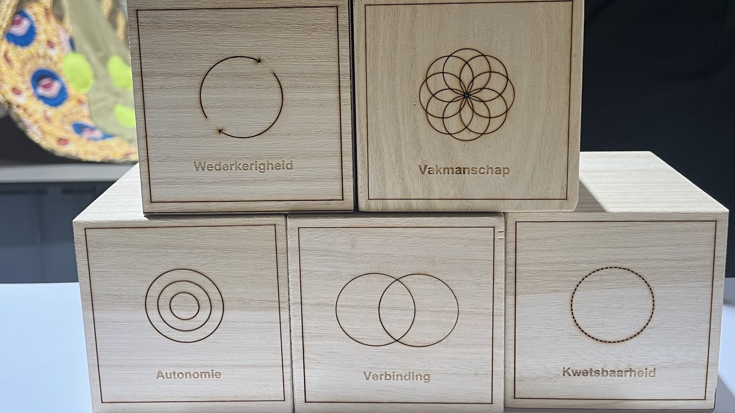 faq systemische begeleiding in organisaties